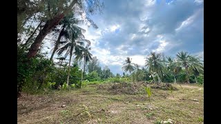 Five Rai of Private Land for Sale in Takua Pa, Phang Nga