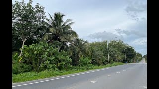 9  Rai Land Plot Near Main Road for Sale in Takua Tung, Phang Nga - Great Investment Property