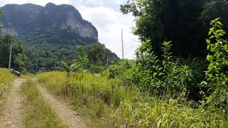 Mountain View Land Plot for Sale in the Khao Thong Area of Krabi