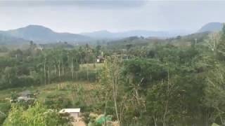 Big Land Plot for Sale with Beautiful Mountain Views in Phang Nga 