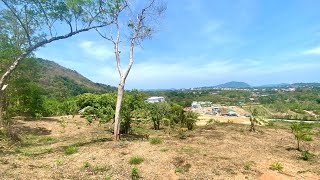 4,185.6 sqm // 2+ Rai Sea View Land Plot for Sale in Rawai