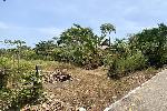 1.38 Rai of Flat Land for Sale in Mai Khao - Perfect for Building a Pool Villa