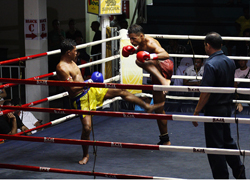 Phuket Boxing Stadium